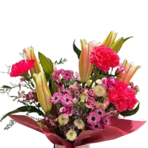 Pink Fireworks