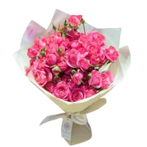 Pink Spray