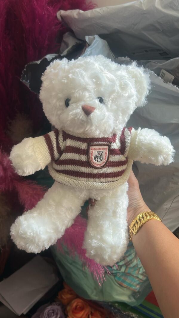White Plush Teddy Bear