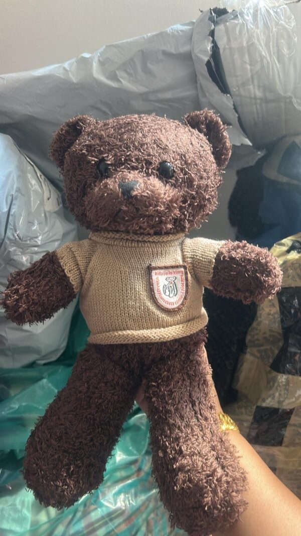 Dark Brown Plush Teddy Bear