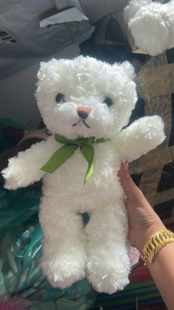 Sweet White Plush Teddy Bear